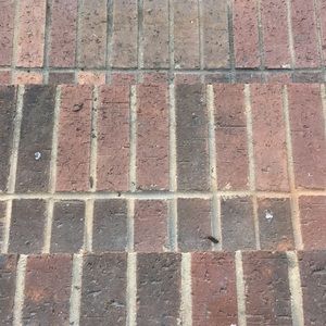 Meet your Posher, Blake